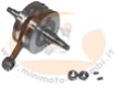 ALBERO MOTORE SPECIAL CORSA39,2 PLACCA ARGENTO BZM