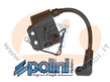 BOBINA ALTA TENSIONE POLINI REVERSE BOBINA ALTA TENSIONE POLINI REVERSE