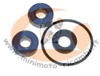 KIT REVISIONE POMPA ACQUA BZM