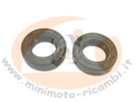 PARAOLIO MOTORE BANSHEE 15x25x7 (coppia)