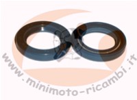 PARAOLIO MOTORE REPLICHE BLATA 17-25-4 (coppia)