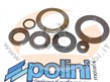 SERIE PARAOLI POLINI REVERSE