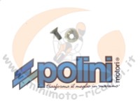 VITE CON RONDELLA x  PIGNONE POLINI REVERSE