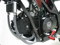 WT XX 125cc 4T